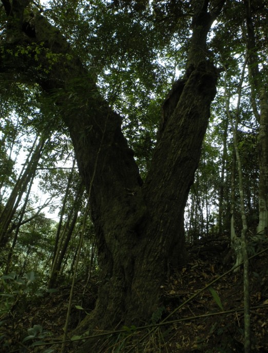 QQͼƬ20140322195501.jpg