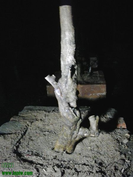 20140321_212153_.jpg