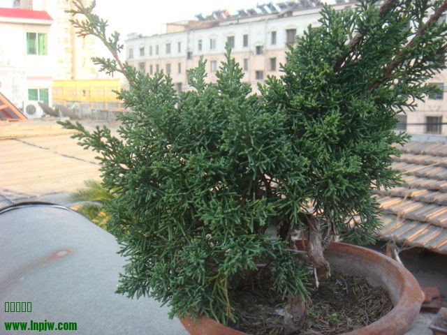 DSC00127.JPG