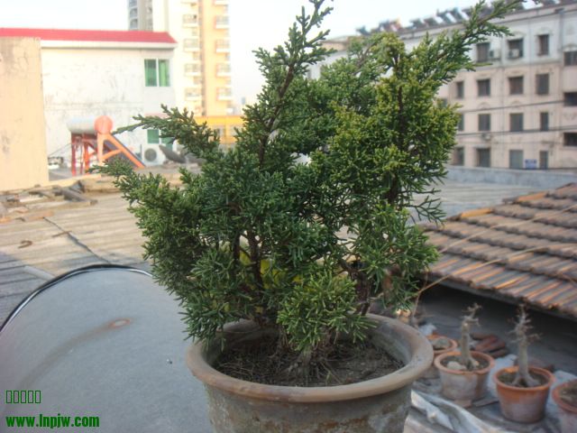 DSC00128.JPG
