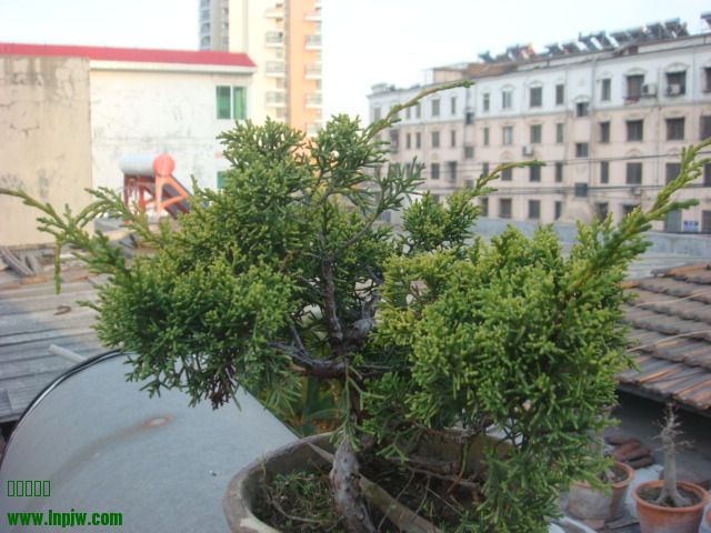 DSC00130.JPG