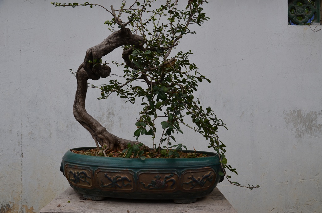 DSC_1038.jpg