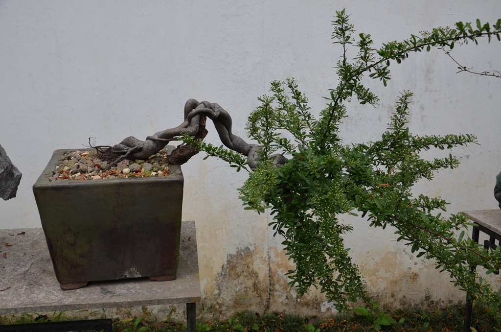 DSC_1039.jpg