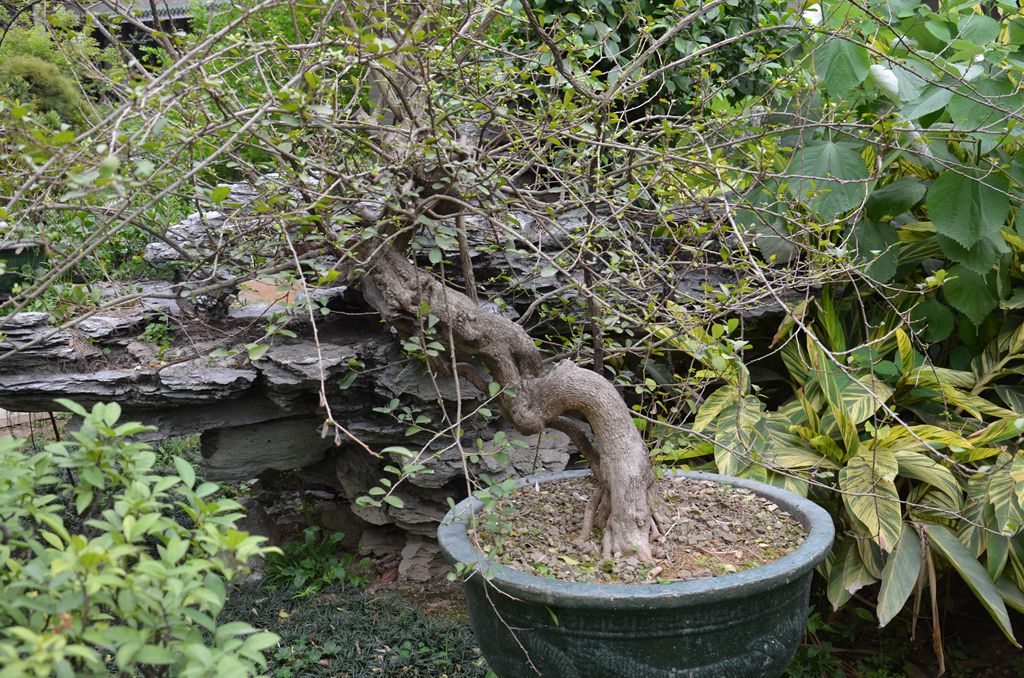 DSC_1047.jpg