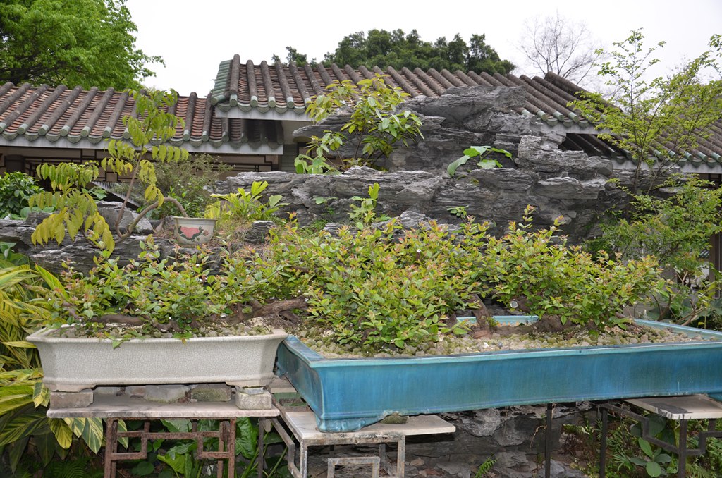DSC_1061.jpg