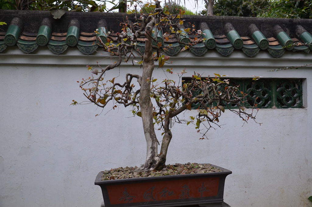 DSC_1054.jpg