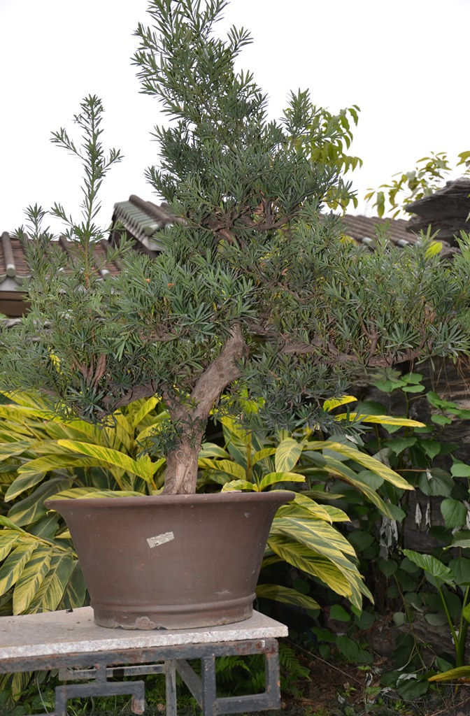 DSC_1058.jpg