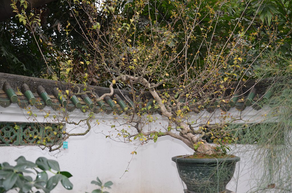 DSC_1070.jpg