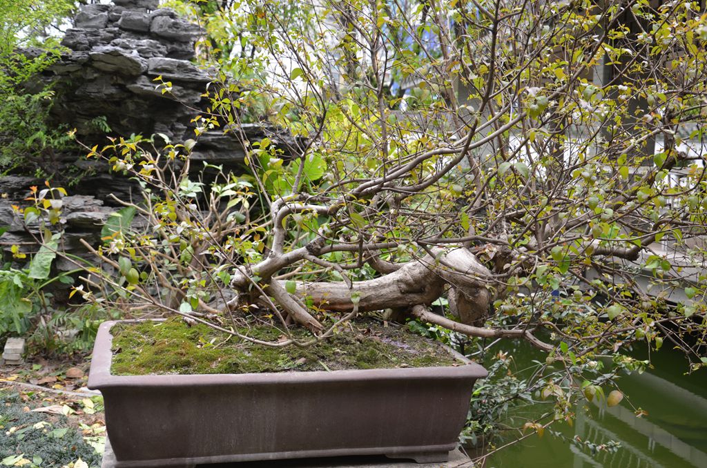 DSC_1072.jpg