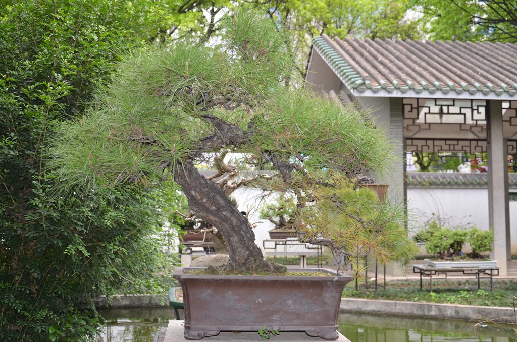 DSC_1076.jpg
