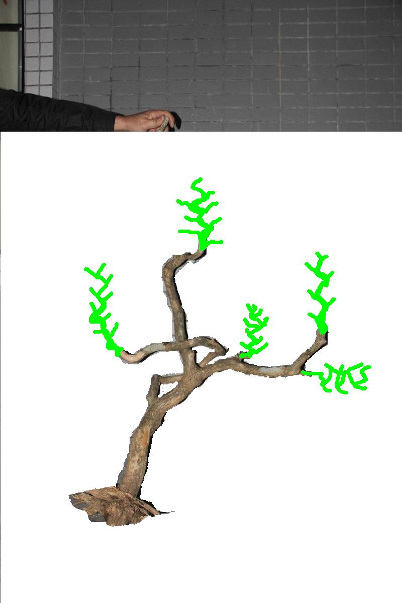 .jpg