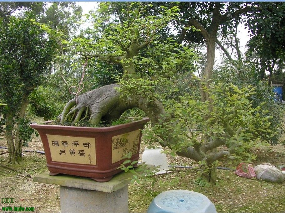 70.jpg