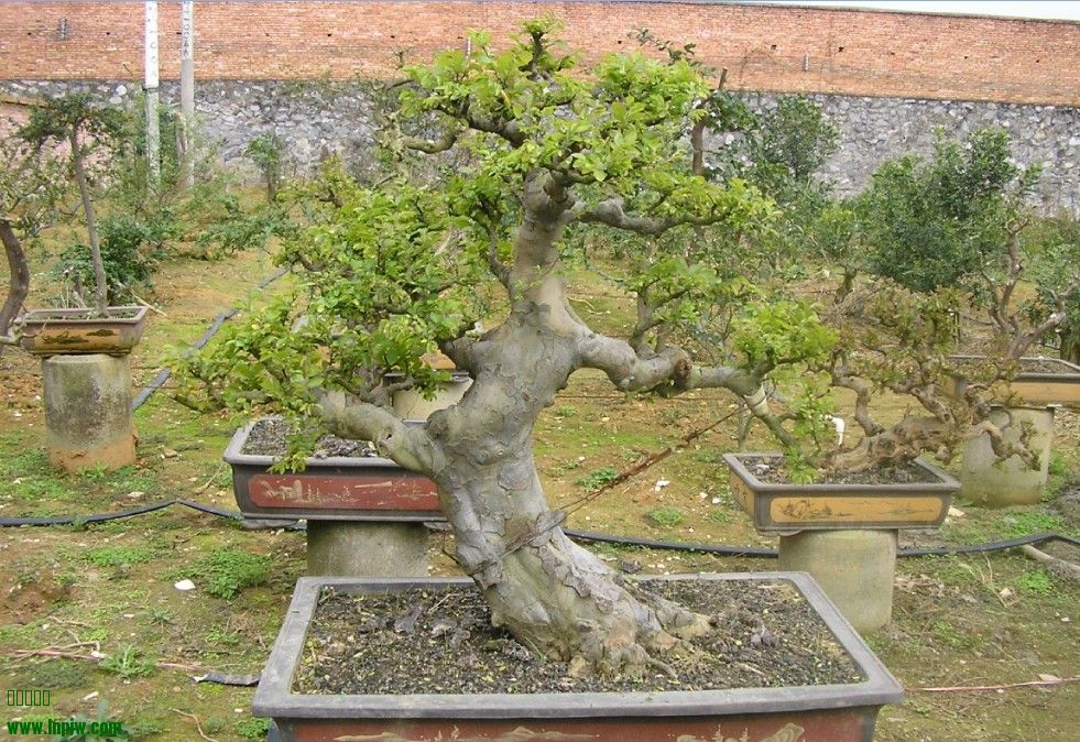 56.jpg