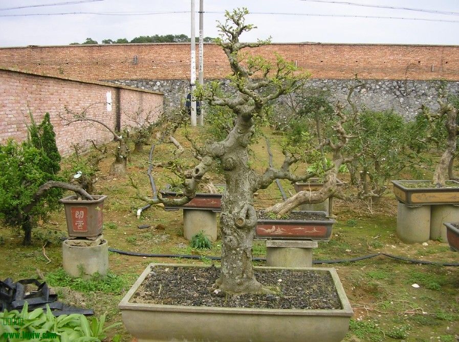 55.jpg