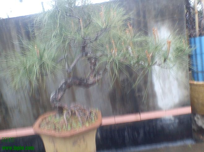 DSC02089.jpg