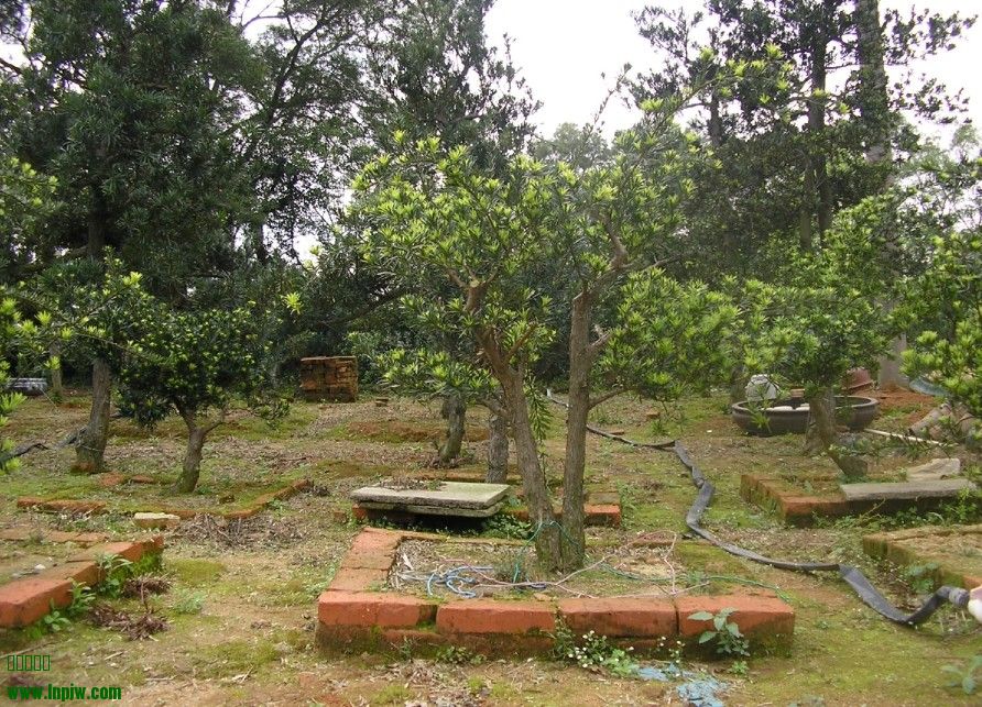 67.jpg