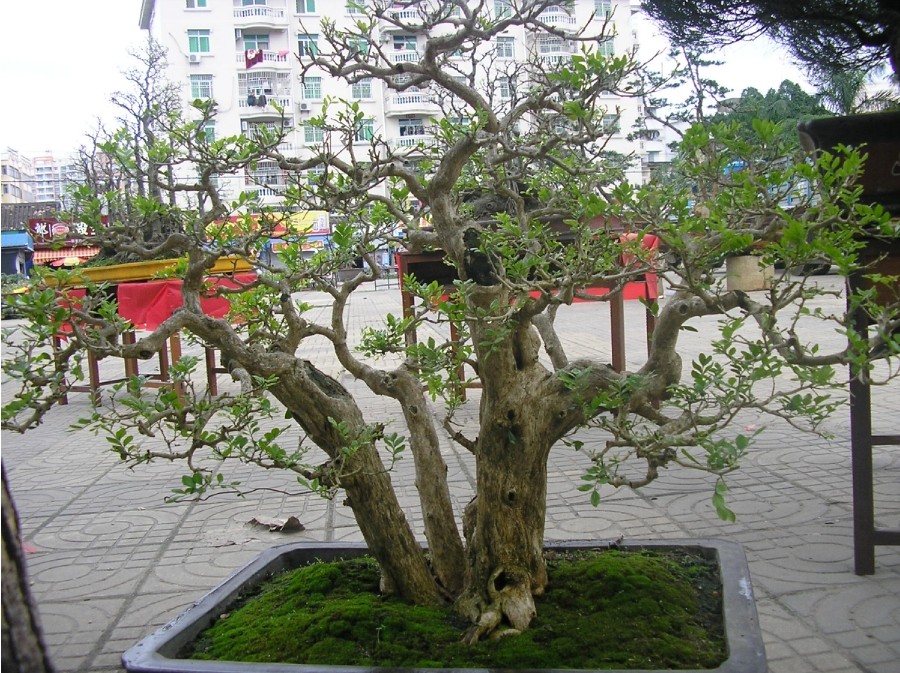 94.jpg
