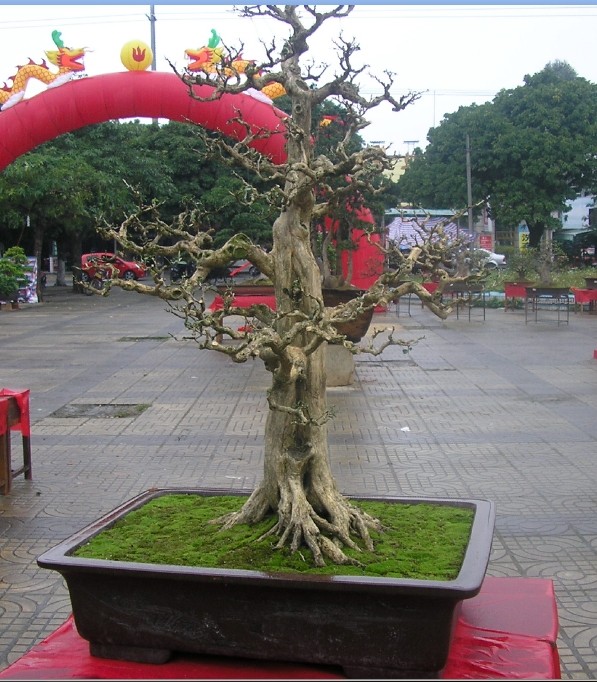 103.jpg