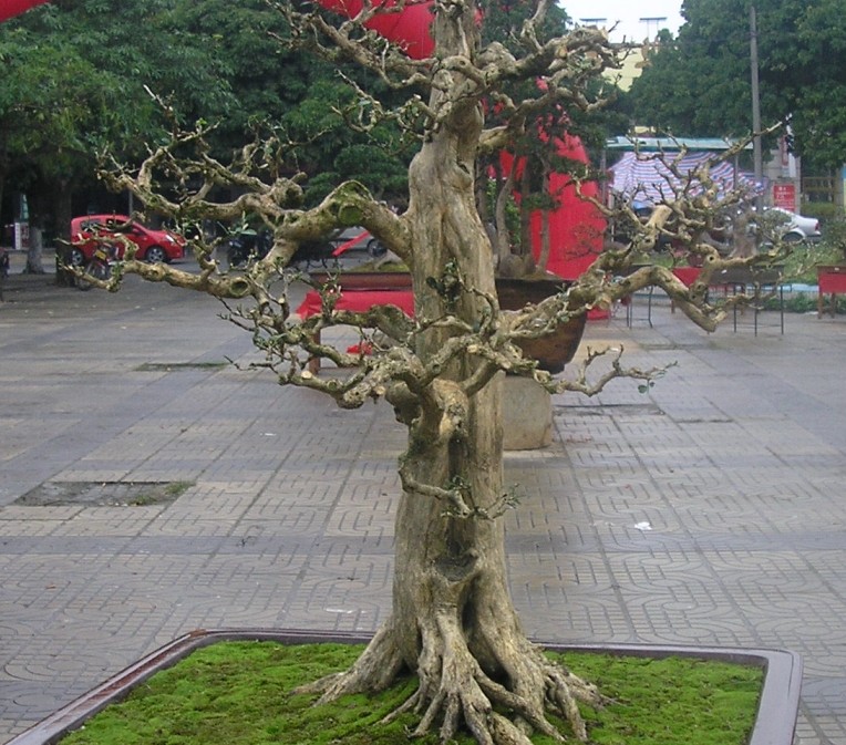 104.jpg