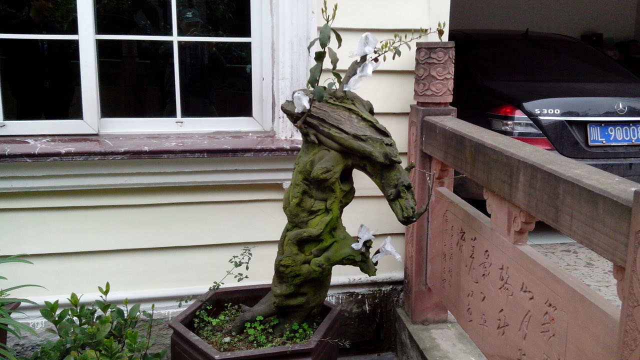 IMG_20140323_103904.jpg