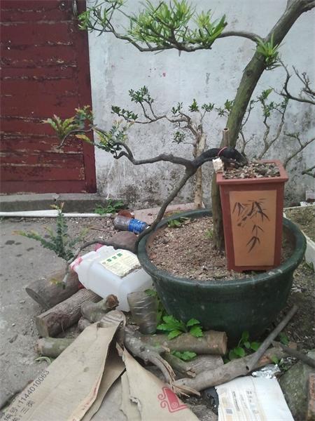 2014-03-24 17.59.37.jpg