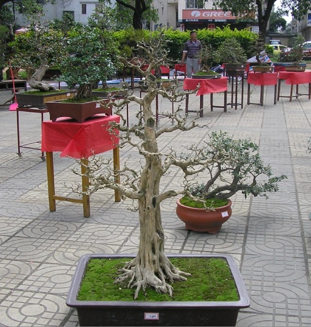 105.jpg