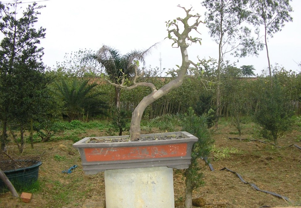 27.jpg