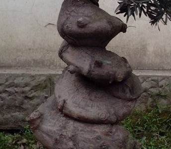 76.jpg