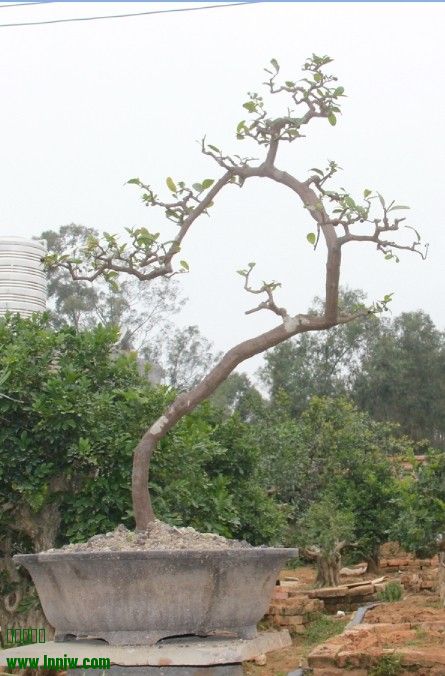 901.jpg
