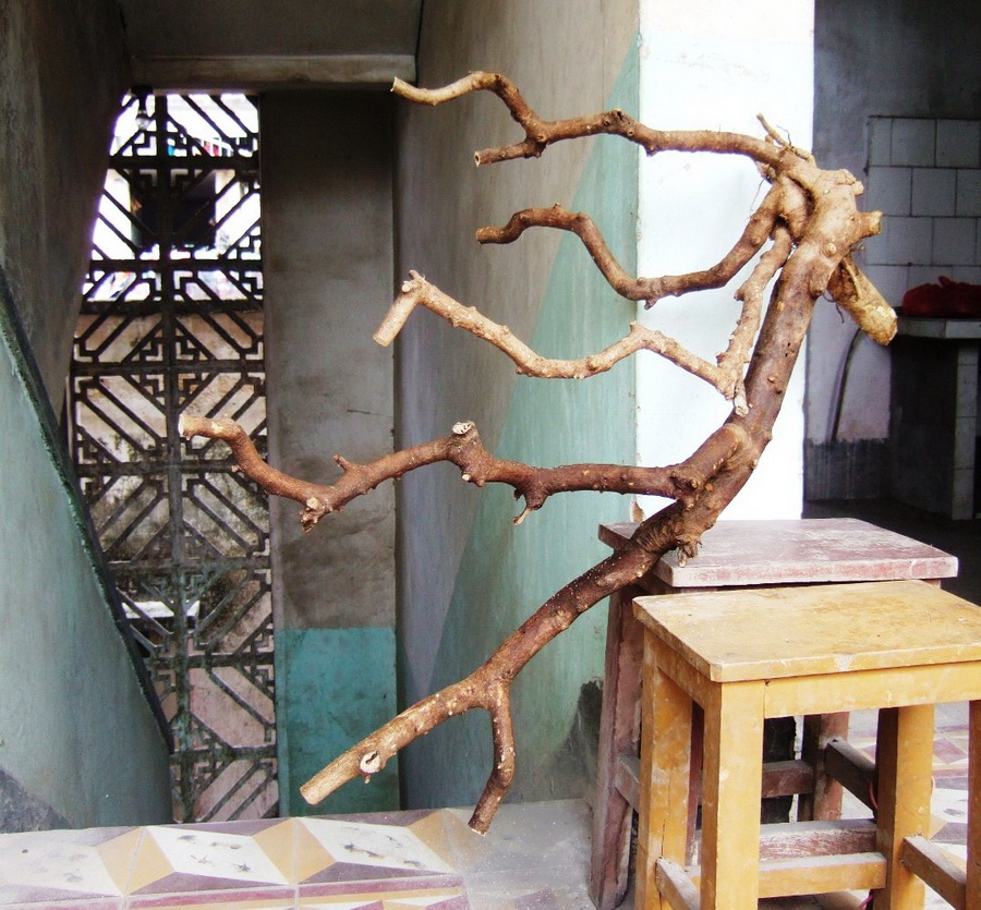 DSCF5468.jpg