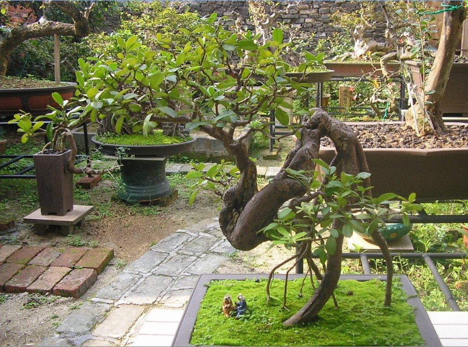 QQͼƬ201403261336023.jpg