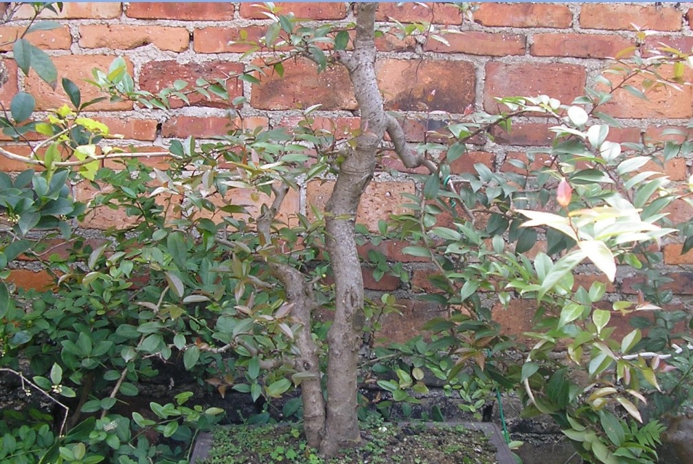 30.jpg