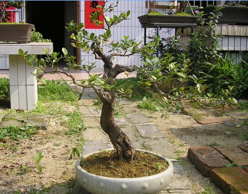 38.jpg