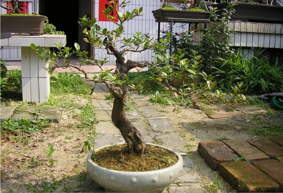 37.jpg