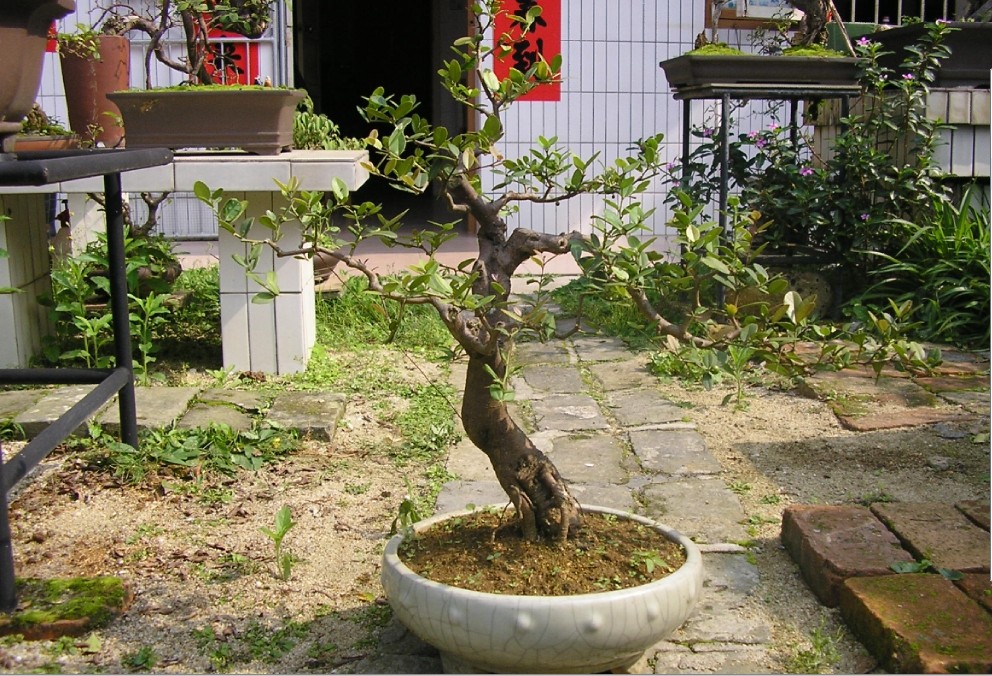 39.jpg