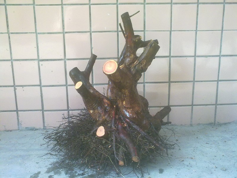 201403264765.jpg
