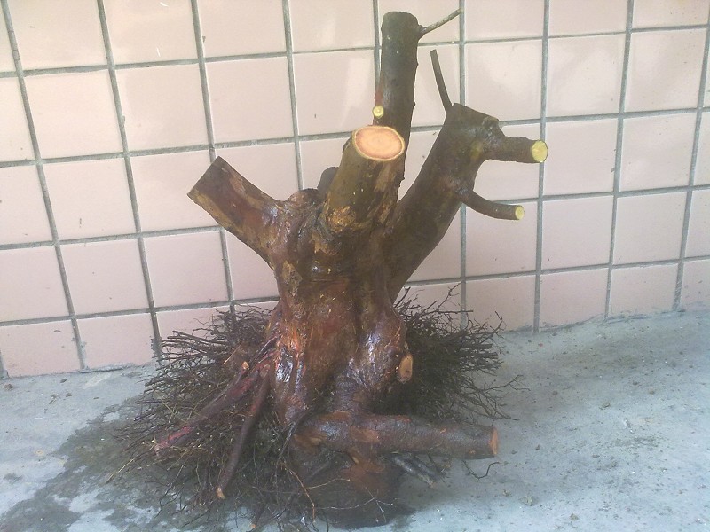 201403264767.jpg