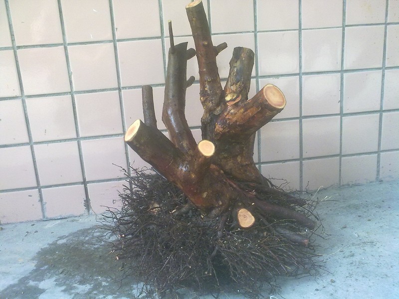 201403264768.jpg
