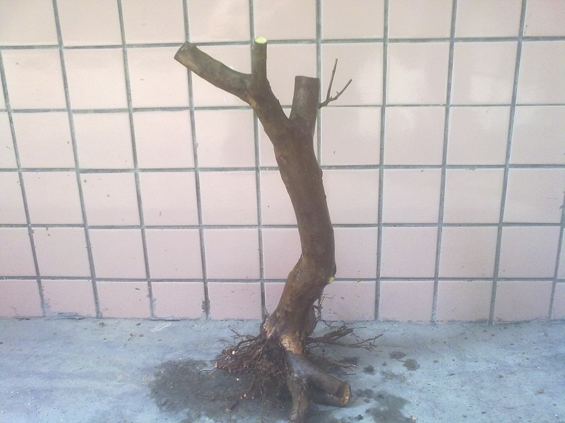 201403264770.jpg