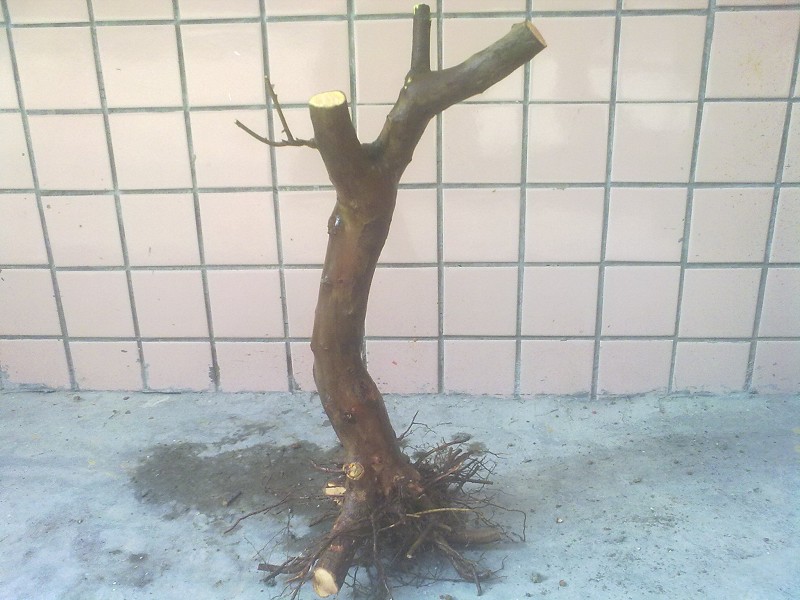 201403264771.jpg