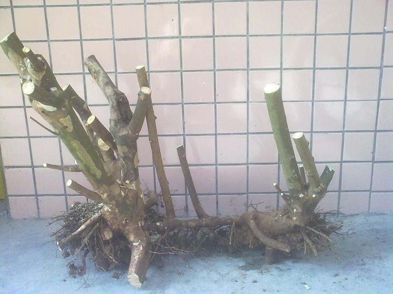 201403264775.jpg