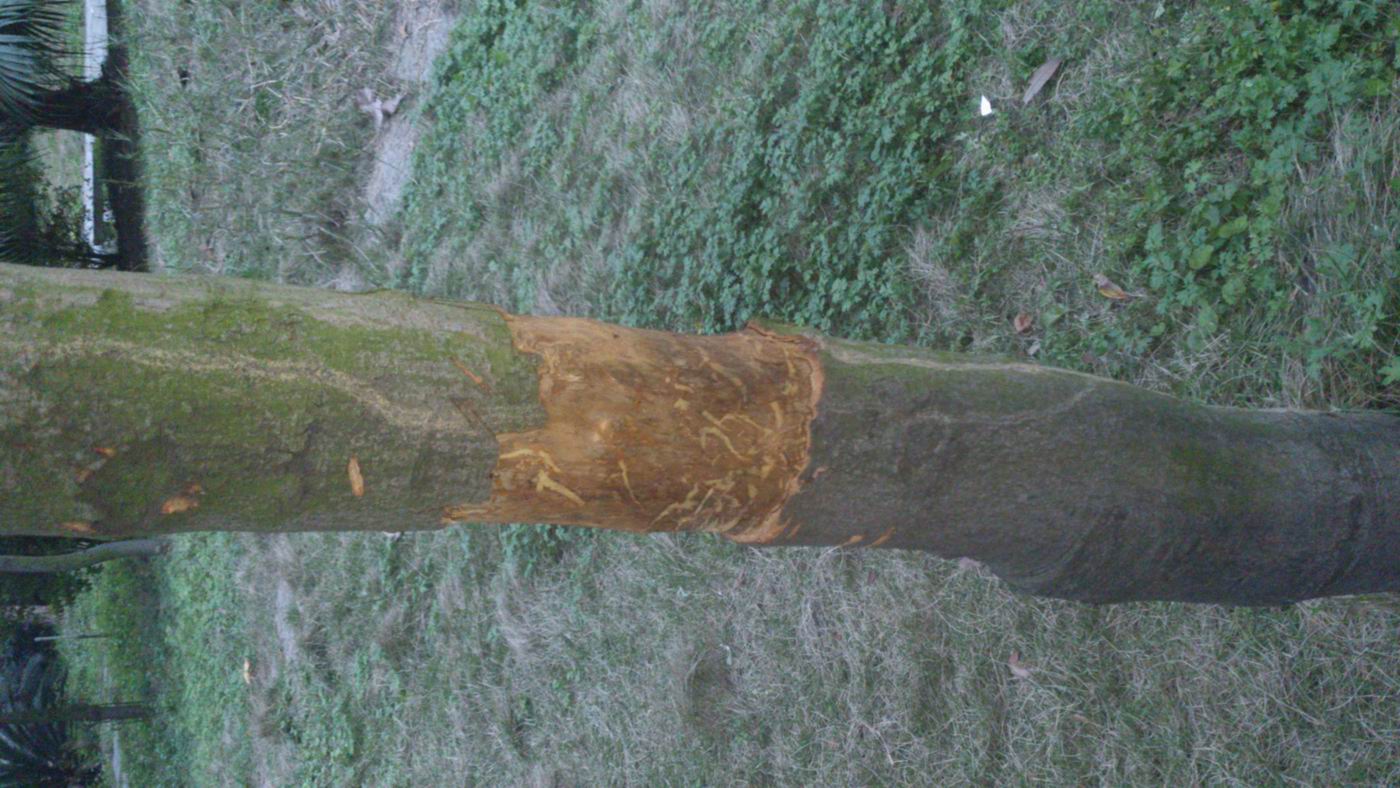 С DSC_0779.jpg