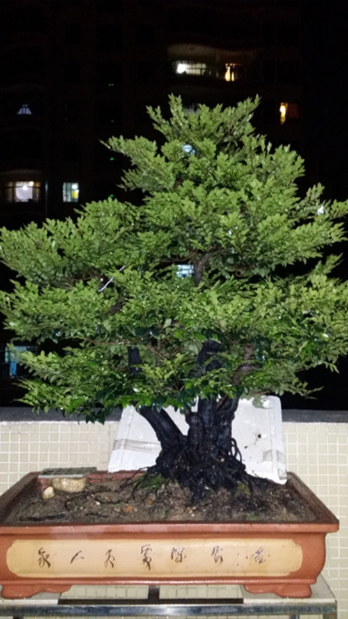 20140325_200353_.jpg