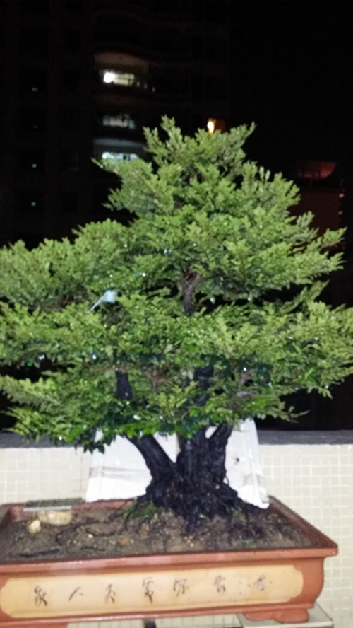 20140325_200322_.jpg