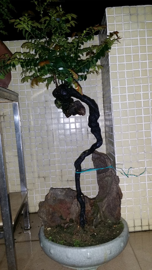 20140323_221844_.jpg