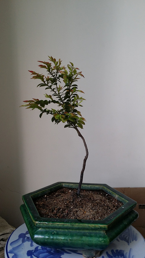 20140323_144259_.jpg