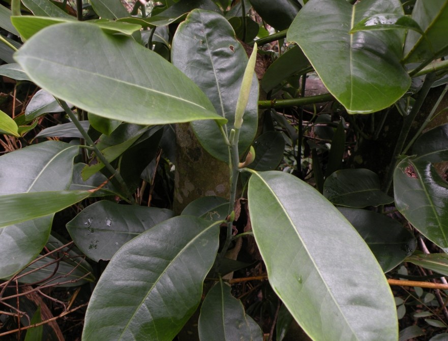 QQͼƬ20140327201036.jpg