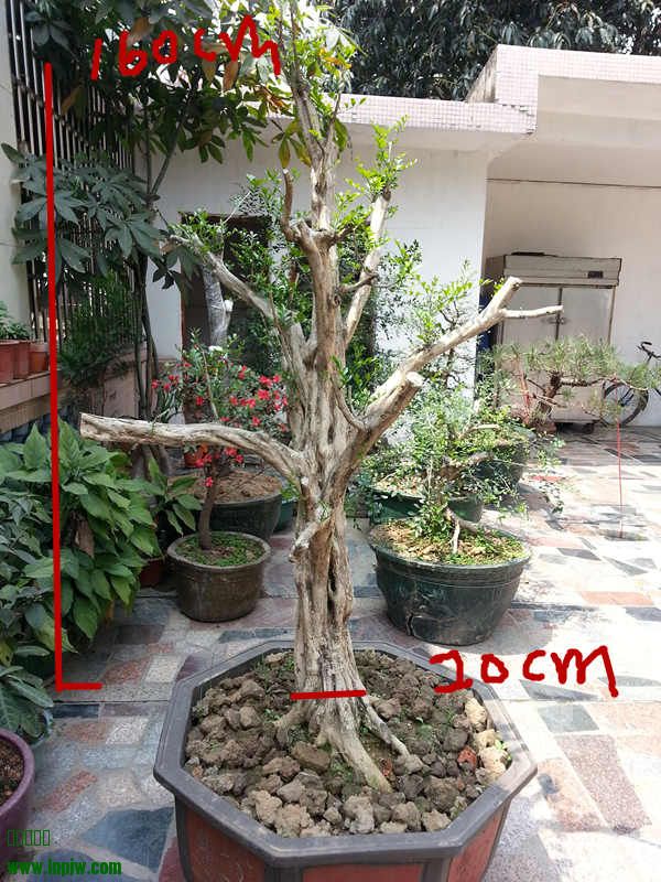 20140325_123321_.jpg