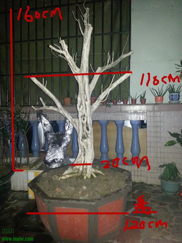 20140223_221921_ - .jpg
