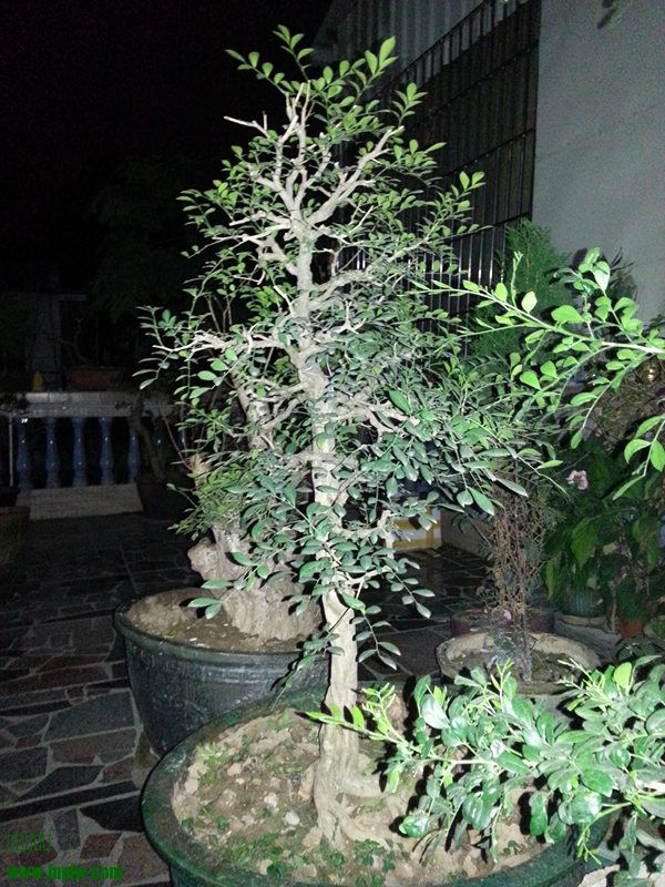 20140227_191149_.jpg